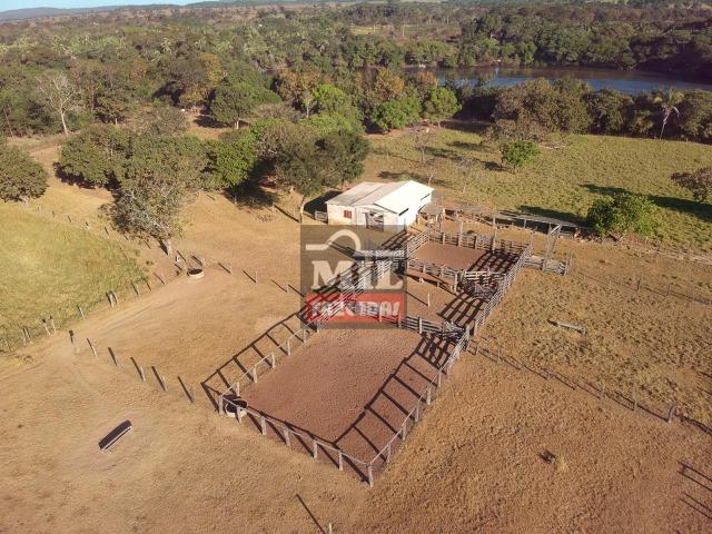 Fazenda 22 Alqueires (106 hectares) Nova Xavantina-MT - Foto 18