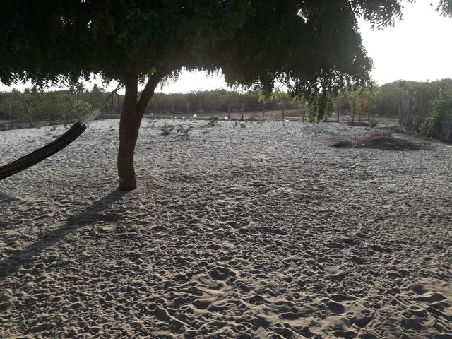 Vendo terreno R$55 mil