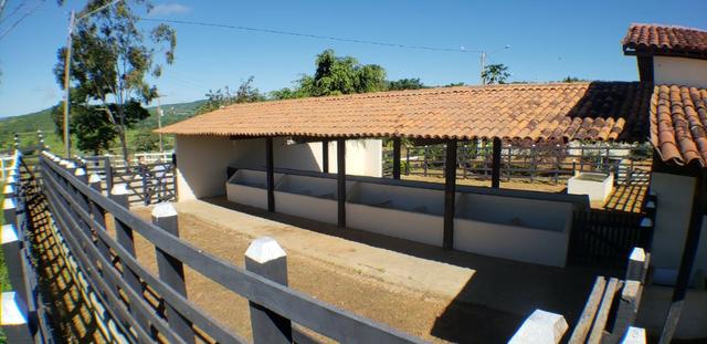 Sitio em serra negra Bezerros PE - Foto 11