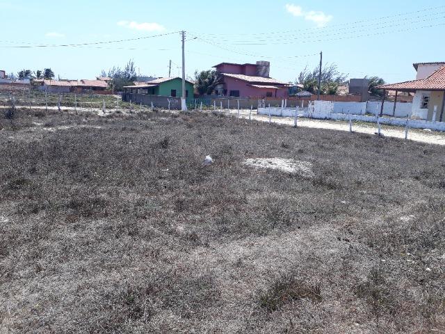 Terreno Luis Correia Margem PI-116 - Foto 8