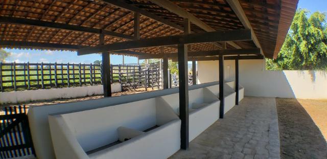 Sitio em serra negra Bezerros PE - Foto 12