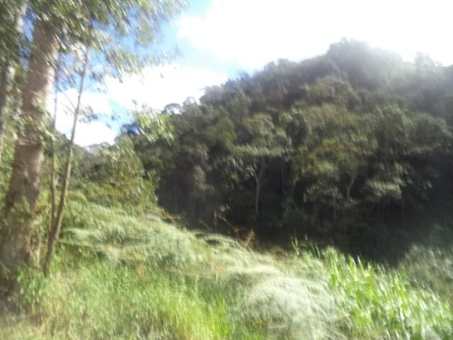 Marechal - Foto 4