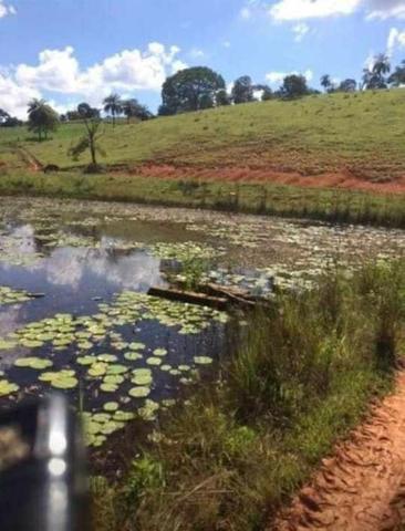 Oportunidade - Linda fazenda á venda R$850 mil . 700 hectares! Possibilidade parcelamento - Foto 4