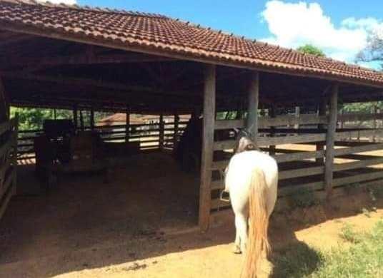 Oportunidade - Linda fazenda á venda R$850 mil . 700 hectares! Possibilidade parcelamento - Foto 6