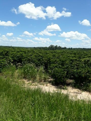 Vendo propriedade em Jaguaré - Foto 2
