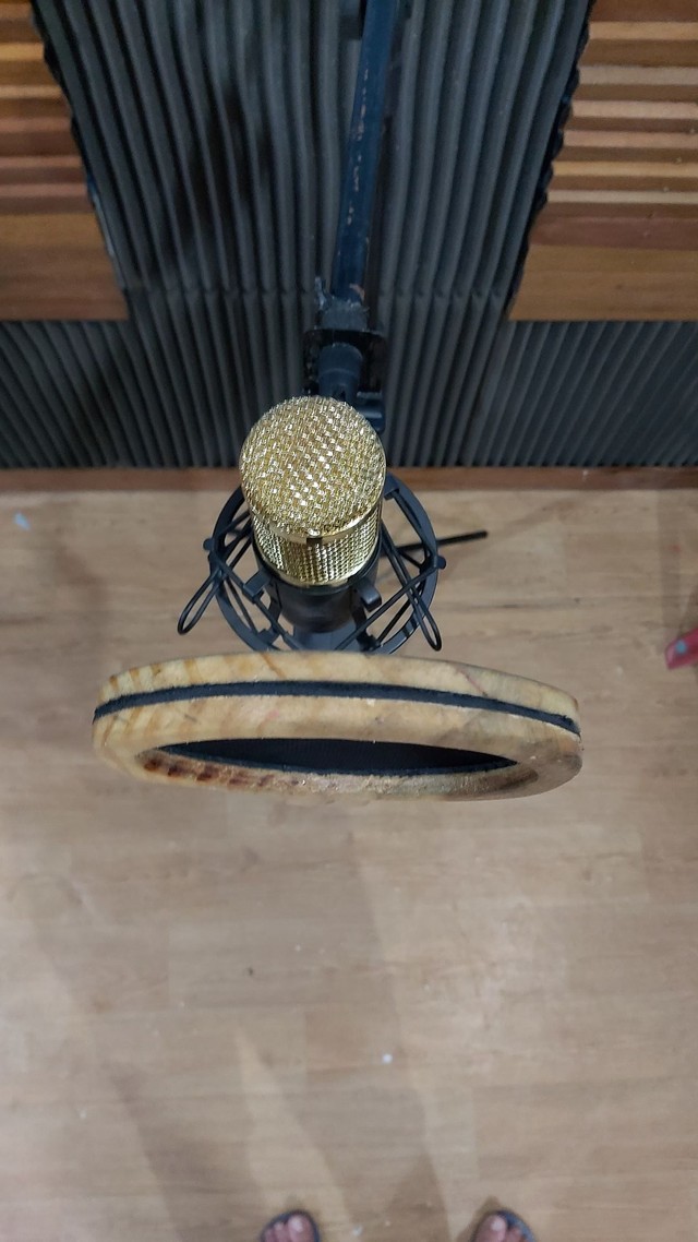 Aula de técnica vocal (canto) particular  - Foto 4