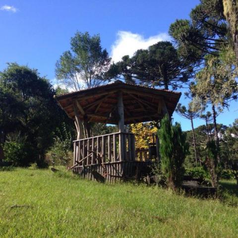 Fazenda com Vinhedo em Urubici/ fazenda em Urubici/ Chácaras em Urubici - Foto 9