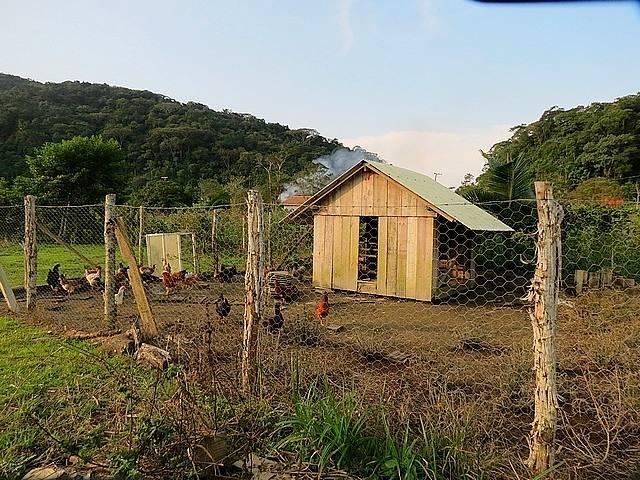 Chácara área de 3.900 m² Paraná, Guaratuba - Foto 9
