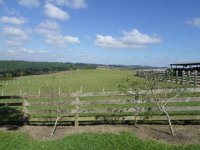 Ref. 735 - Fazenda de 60 Alqueires, 40 alqueires de planta, 15 alqueires de pasto - Foto 9