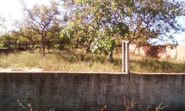 Terreno em Pium - Foto 3