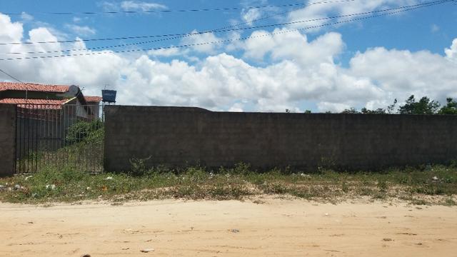 Excelente lote com 1.000m² - Parque das árvores - Escriturado - Foto 2