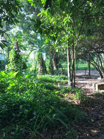 Terreno plano