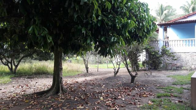 Excelente Oportunidade ligue *