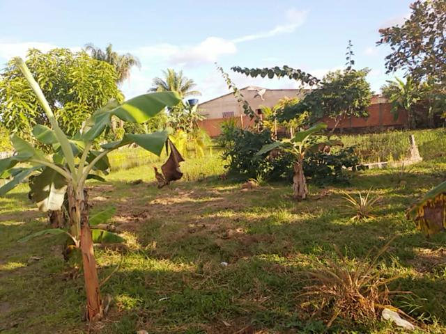 Troco por colônia essa casa !