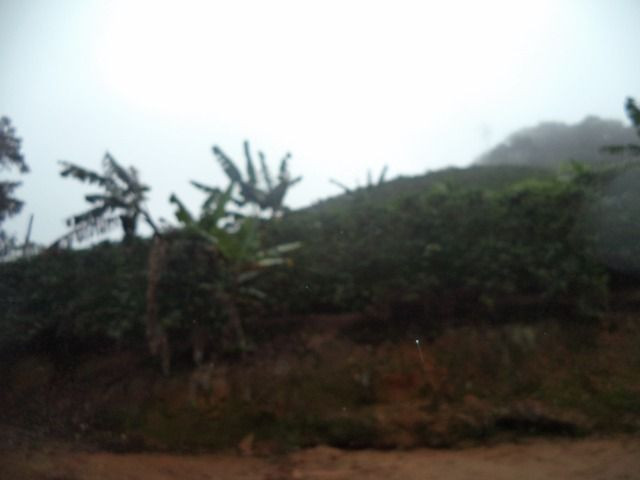 Marechal - Foto 6