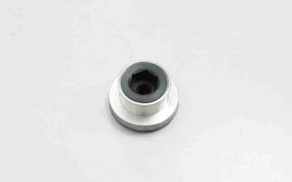 Polia do Alternador Duster  (Renault)