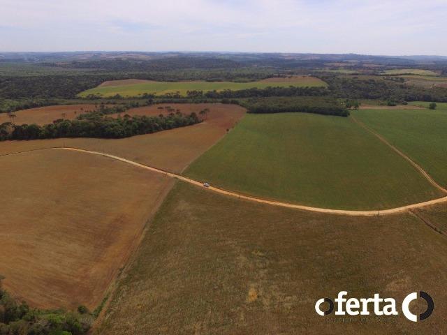 Fazenda na Lapa - Foto 6