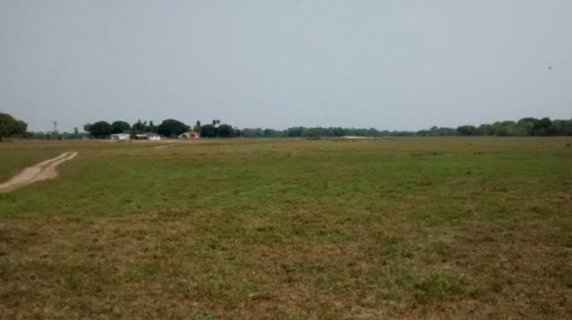 FAZENDA A VENDA EM PANTANAL DO PAIAGUÁS/CORUMBA-MS-Pecuária - Foto 5