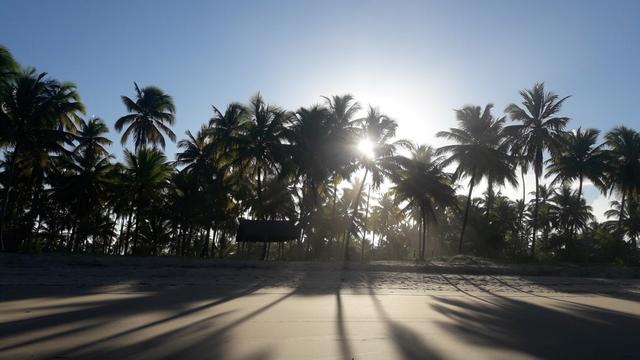 Lotes Taipu de Fora - Península de Maraú - Bahia - Foto 13