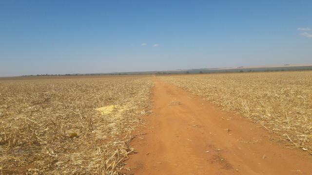 Troco Paraná, 900,00 Hectares-MT, aceita-se imóveis Paraná