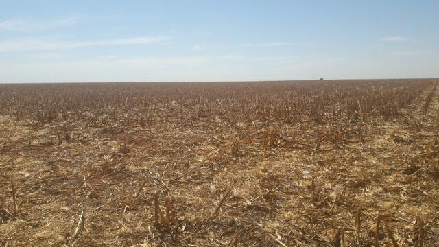 Troco Paraná, 900,00 Hectares-MT, aceita-se imóveis Paraná - Foto 11