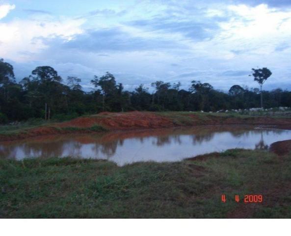 1200 hectares, pecuária, Diamantino-MT, troca-se por imóveis em MT