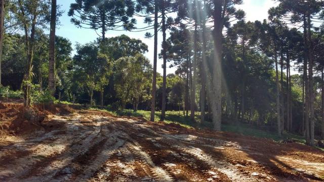 Vendo chácaras a partir de 5000m² a 30 km do Ceasa,Leia o Anuncio! - Foto 19