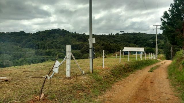 Vendo chácaras a partir de 5000m² a 30 km do Ceasa,Leia o Anuncio! - Foto 17