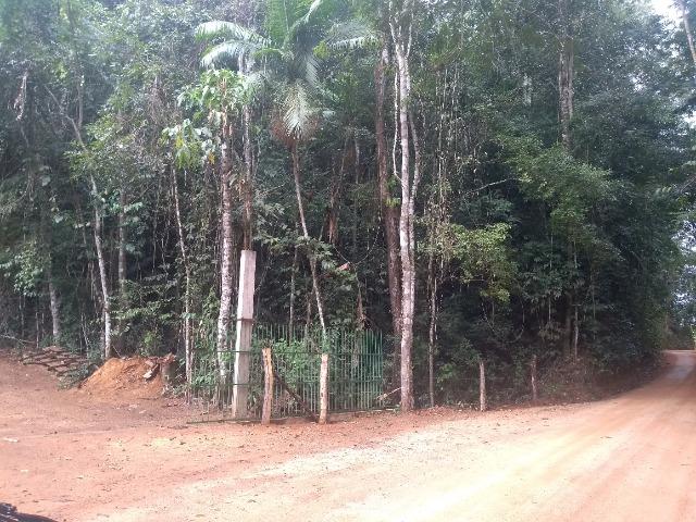 Aluguel sitio em domingos martins, são bento do chapéu - Foto 13