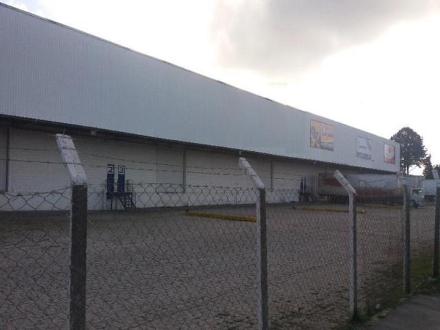 Galpão comercial para locação, rio pequeno, são josé dos pinhais. - Foto 3