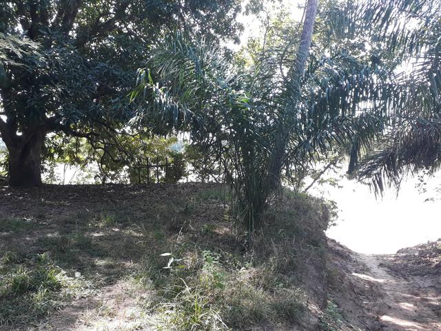 Mini Chácara na beira do Rio Araguaia - Foto 7