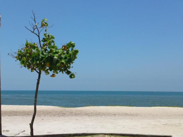 Loteamento Beira Mar - Espirito Santo - Foto 7