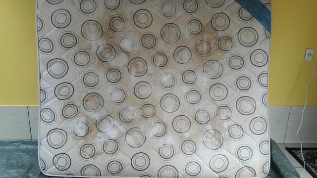 Limpeza e higienização com controle de MICRO-ORGANISMOS - Foto 5