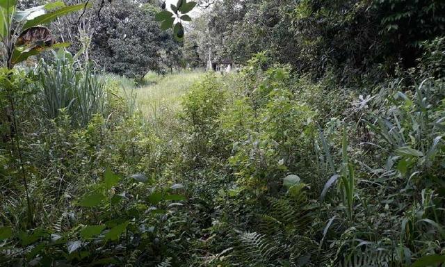 Excelente Propriedade em Guapimirim Estrada Rio Teresópolis 48.000m2 R$ 170 mil - Foto 6