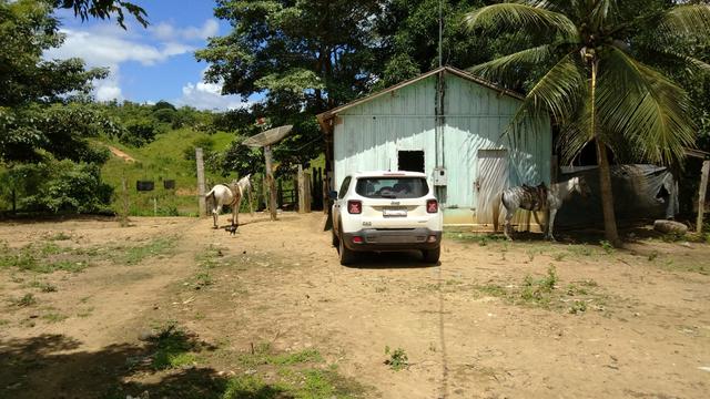 Vende-se terra de 5 Alqueires - Foto 4