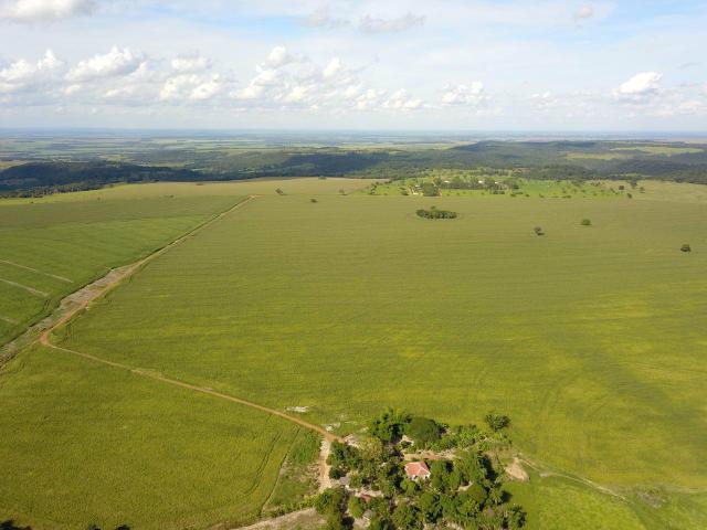 Fazenda única mercado | toda na lavoura | ac. permutas entr. e parcelamos até 2 anos - Foto 3