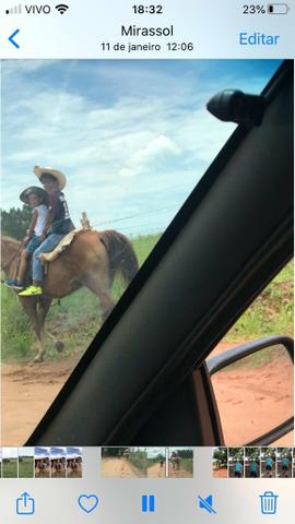 Égua Quarto de Milha, Mansa - Foto 2
