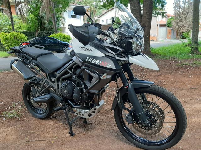 olx triumph tiger