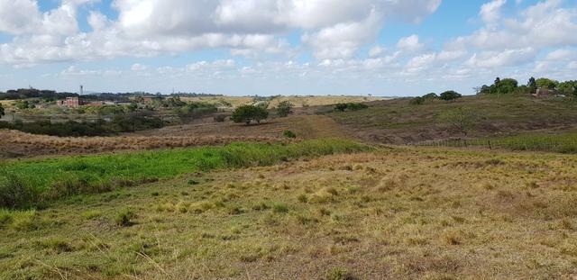 Vendo lote de chácara com uma area de 3.640m2 ou 28 x 130 financiamento direto com o dono - Foto 6
