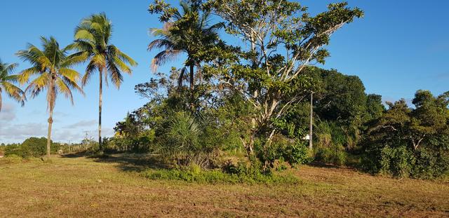 Vendo lote de chácara com uma area de 3.640m2 ou 28 x 130 financiamento direto com o dono - Foto 3