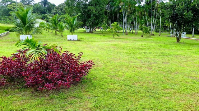 Vendo chácara terreno agrícola Castanhal Pa - Foto 16
