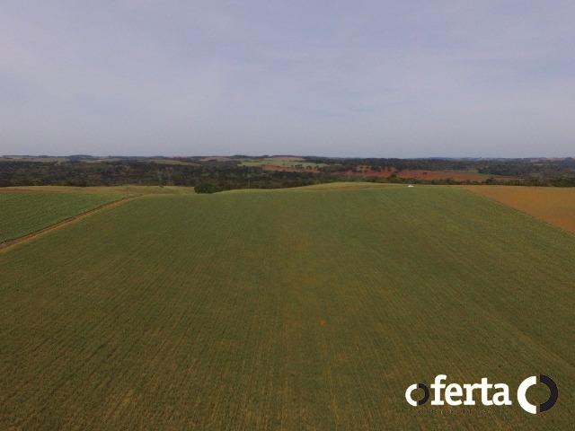 Fazenda na Lapa - Foto 7