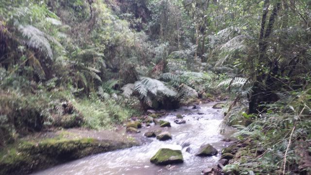 Chácara em Fazenda Souza - Foto 14