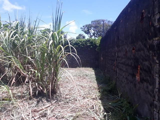 Terreno na Zona Sul nobre de Ilhéus, BA - Foto 5