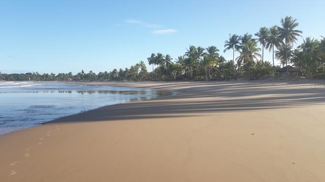 Lotes Taipu de Fora - Península de Maraú - Bahia - Foto 14