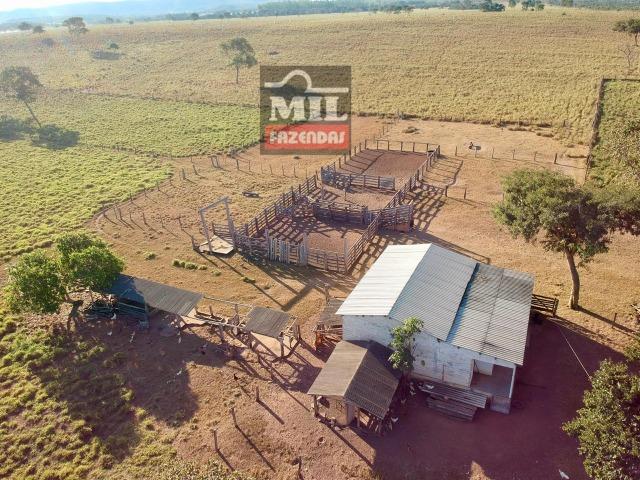 Fazenda 22 Alqueires (106 hectares) Nova Xavantina-MT - Foto 19
