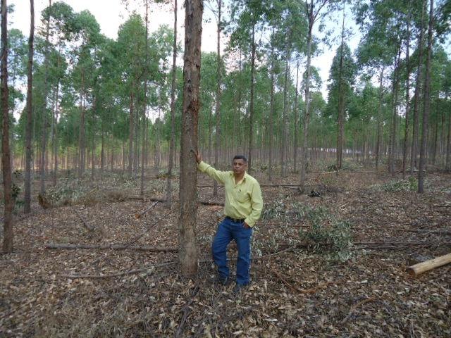 800 hectares Escriturada, região de Reserva do cabaçal, Troco Imóveis em Cuiabá - Foto 6