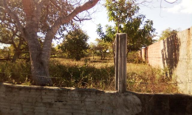 Terreno em Pium - Foto 2
