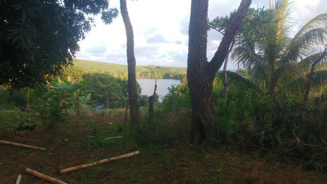 Vendo uma casa com sítio - Foto 8