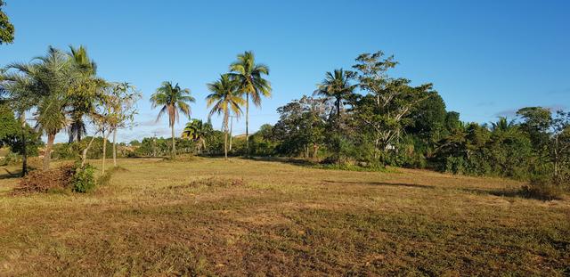 Vendo lote de chácara com uma area de 3.640m2 ou 28 x 130 financiamento direto com o dono - Foto 2